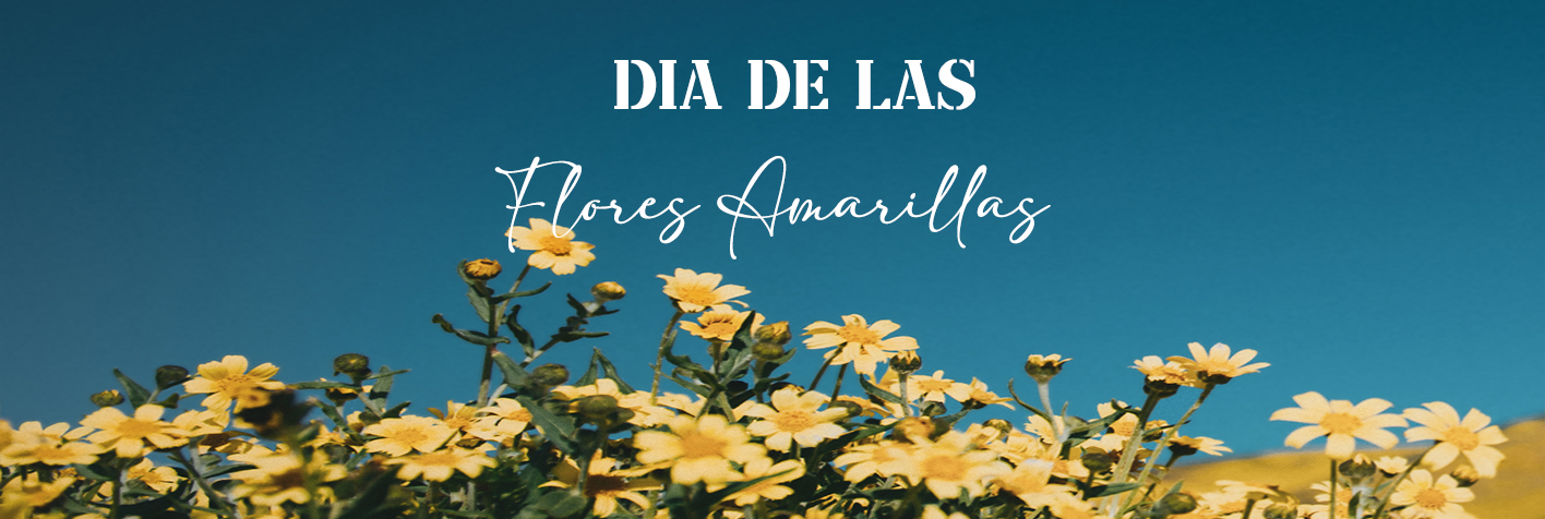 Regalos delivery a domicilio Flores amarillas