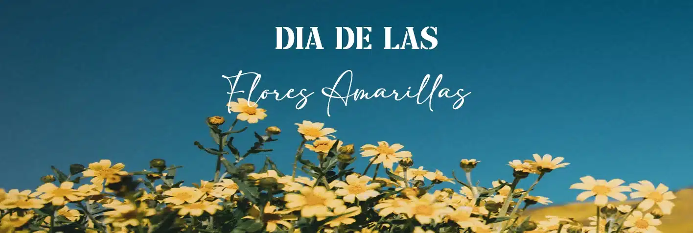 flores-amarillas-delivery